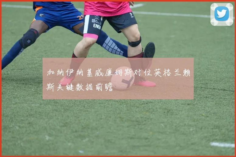 加纳伊纳基威廉姆斯对位英格兰赖斯关键数据前瞻